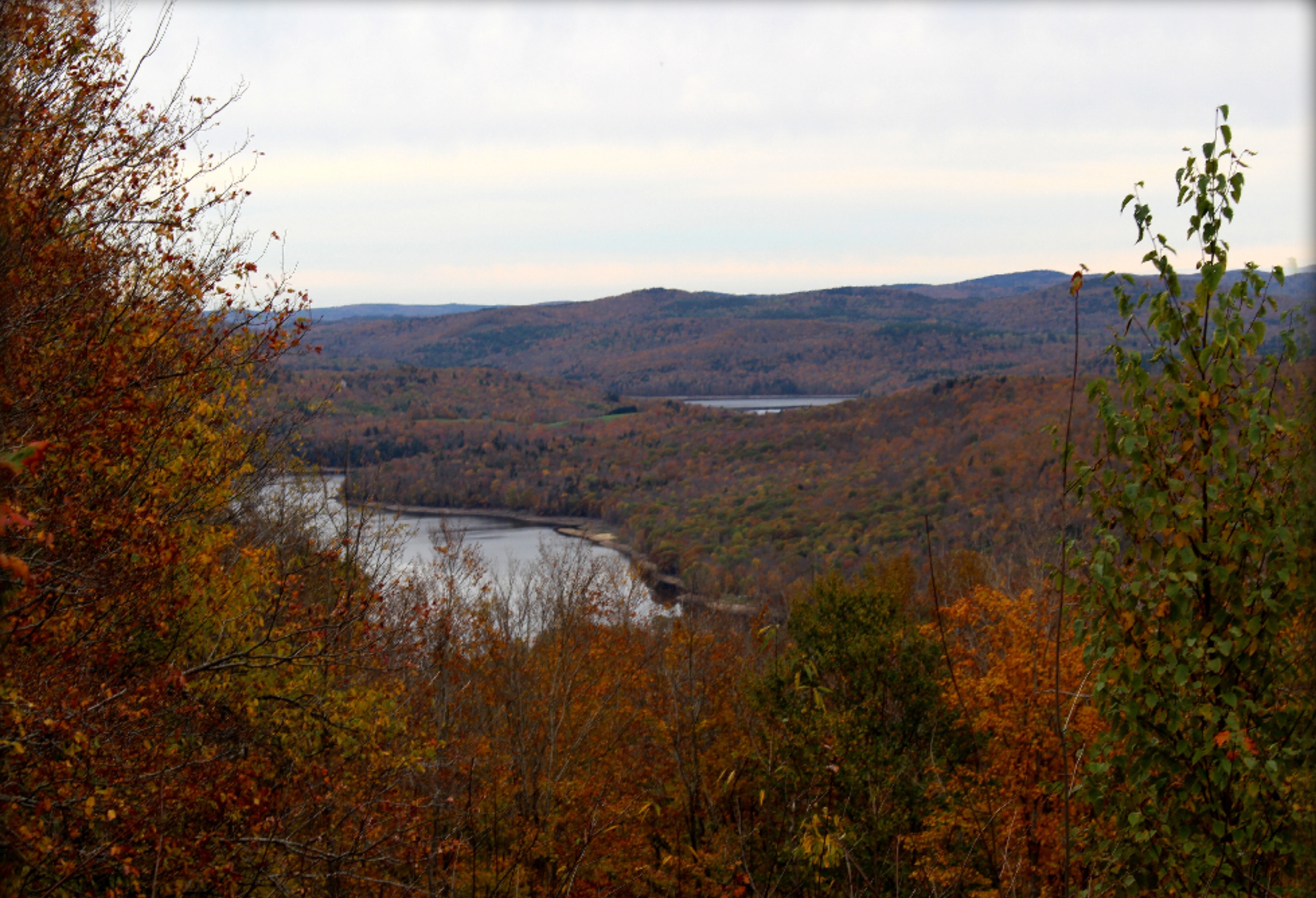 Take a tour of Chimney Hill Chimney Hill Real Estate